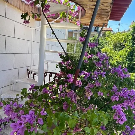 Vila Desa